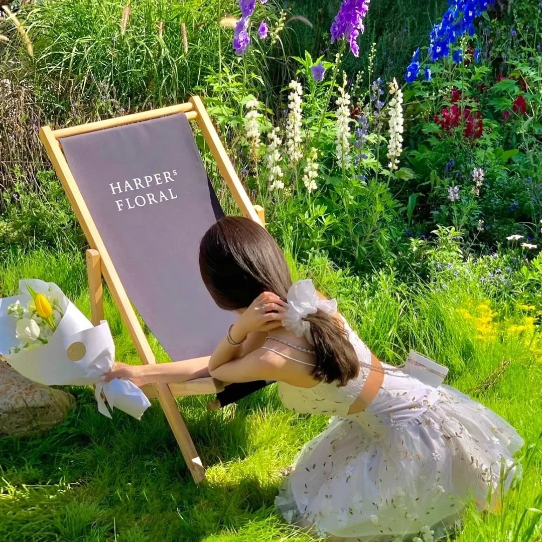 宠妻就变强我的女帝老婆藏不住了